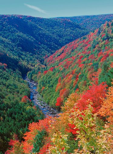 A river runs through the valley of green and blue mountains speckled with bright autumn foliage. 